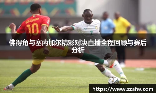 bsports必一体育