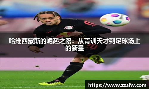 bsports官网